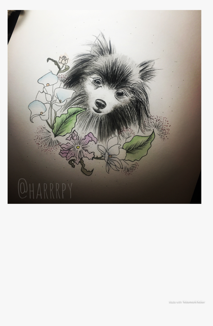 Custom Dog Watercolor Portrait - Chinese Crested Dog, HD Png Download, Free Download