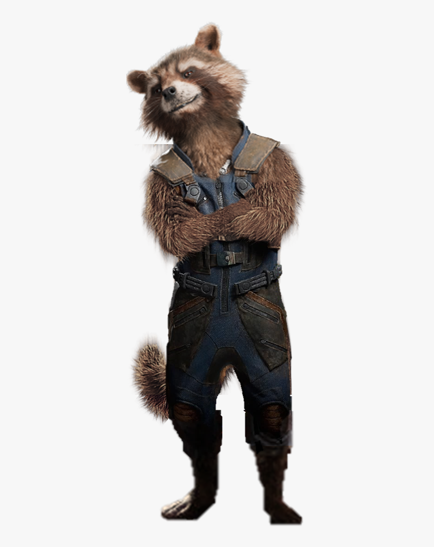 Rocket Raccoon Transparent, HD Png Download, Free Download