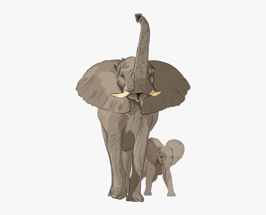 African Elephant, HD Png Download, Free Download