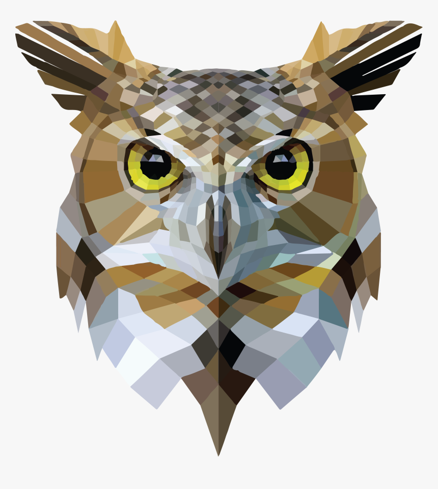 Nimaeru"s Avatar - Low Poly Art Owl, HD Png Download, Free Download