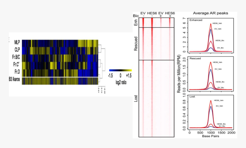 Diagram, HD Png Download, Free Download