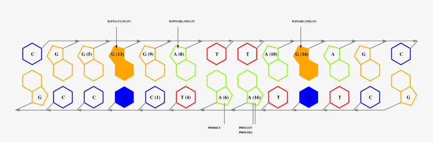 Diagram, HD Png Download, Free Download