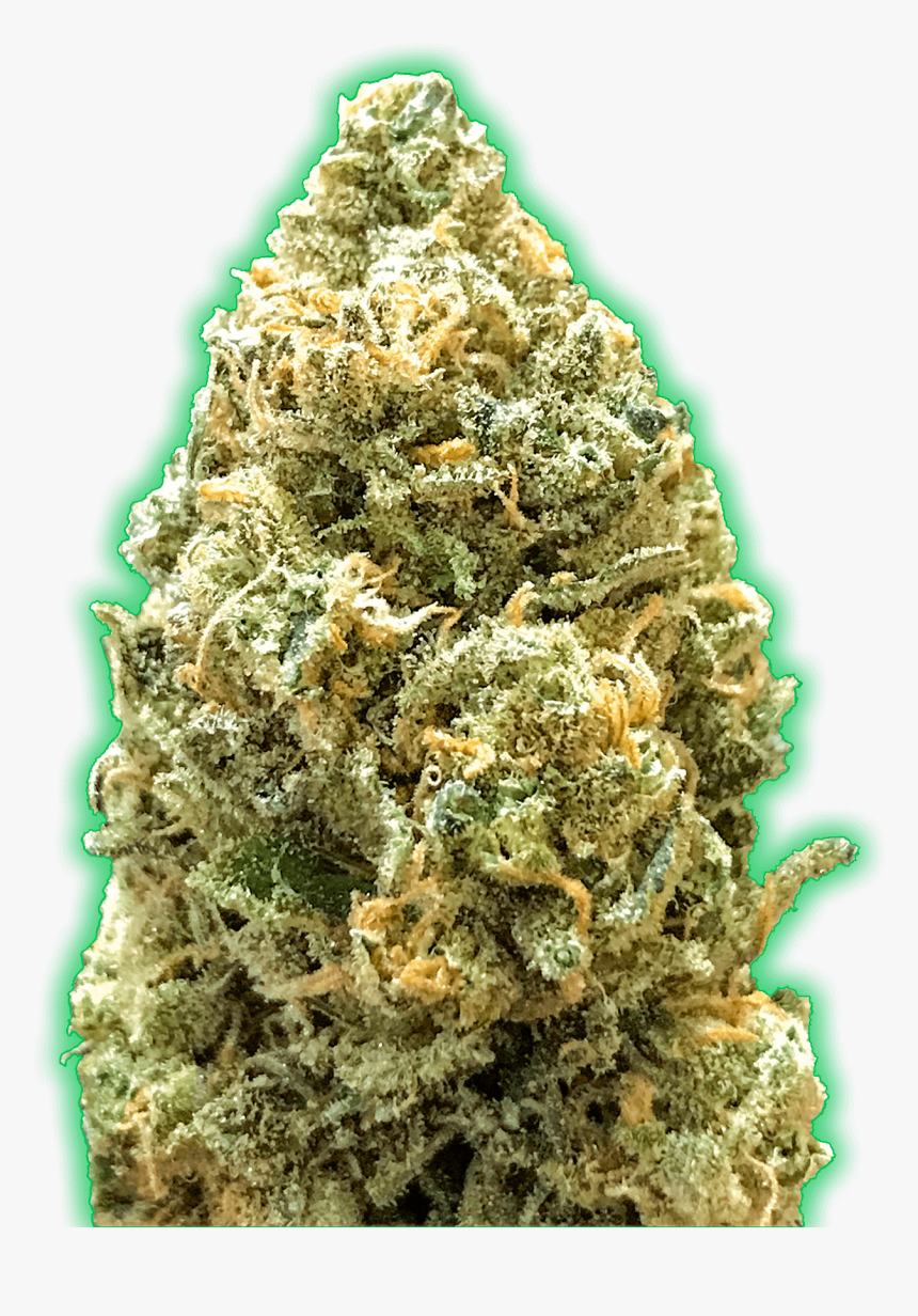 Monster Bruce Banner Auto Feminised Seeds"
 Title="monster - Monster Bruce Banner Strain, HD Png Download, Free Download