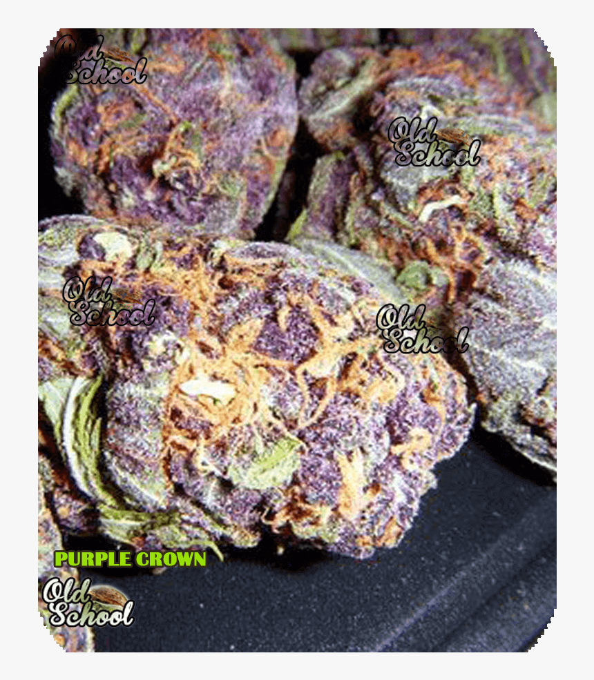 Grand Daddy Purple Weed, HD Png Download, Free Download