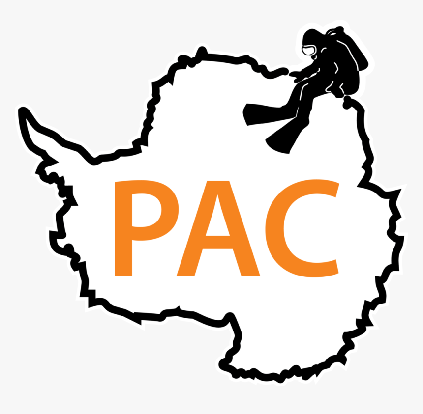 Moo Pac - Animals In Antarctica Worksheet, HD Png Download, Free Download