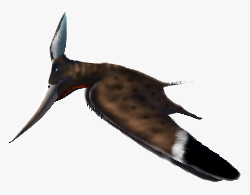 Pteranodon , Png Download, Transparent Png, Free Download