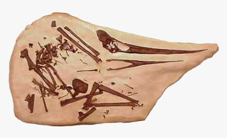 Wood, HD Png Download, Free Download