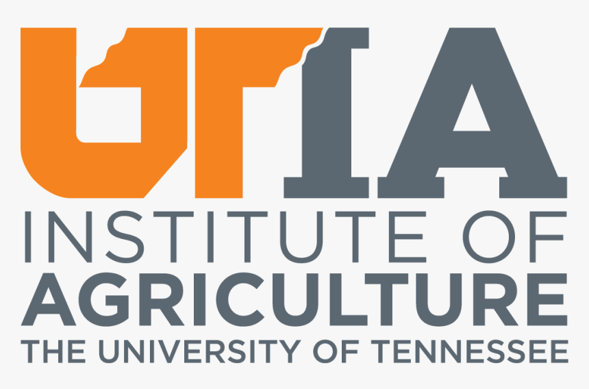 University Of Tennessee Institute For Agriculture - University Of Tennessee, HD Png Download, Free Download