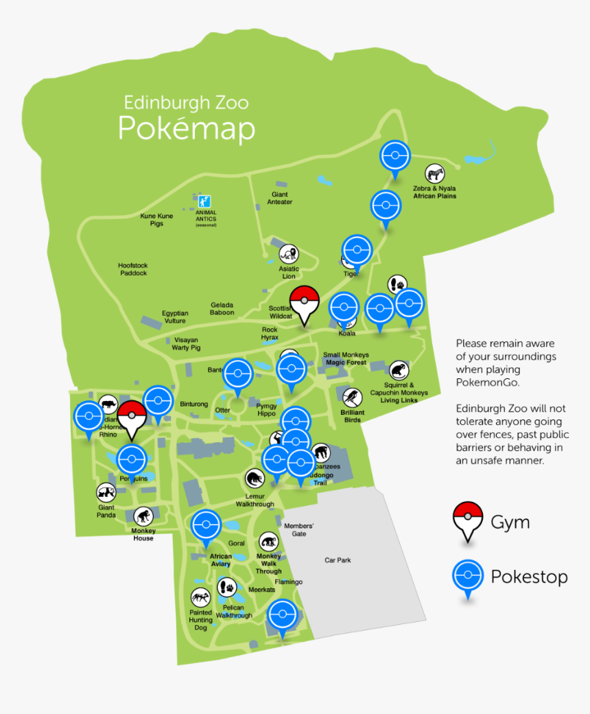 Toledo Zoo Pokemon Go, HD Png Download, Free Download