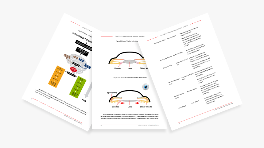 Brochure, HD Png Download, Free Download