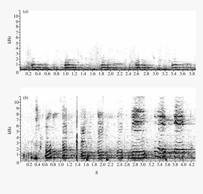 Spectrogram Of Underwater Barking Of A California Seal - Monochrome, HD Png Download, Free Download