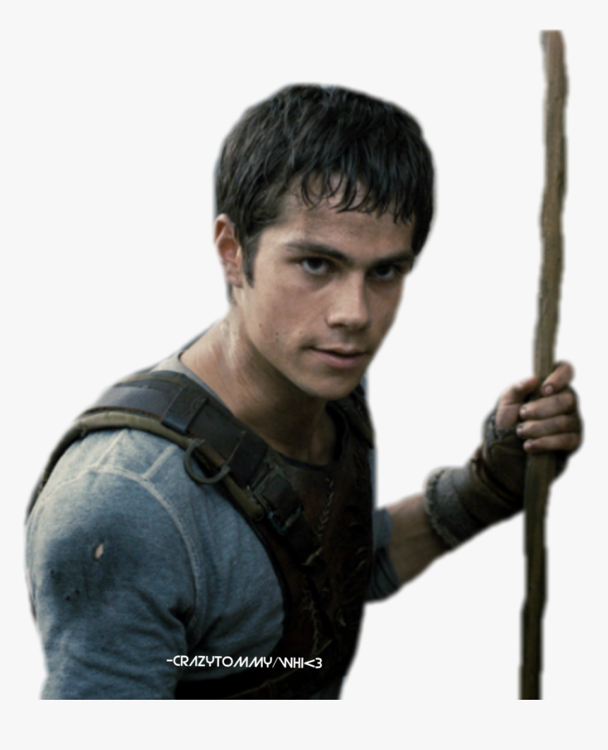 The plastron runner's Thomas (Dylan O'brien) in the maze