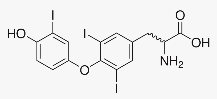 3 4 Methylenedioxyphenyl, HD Png Download, Free Download