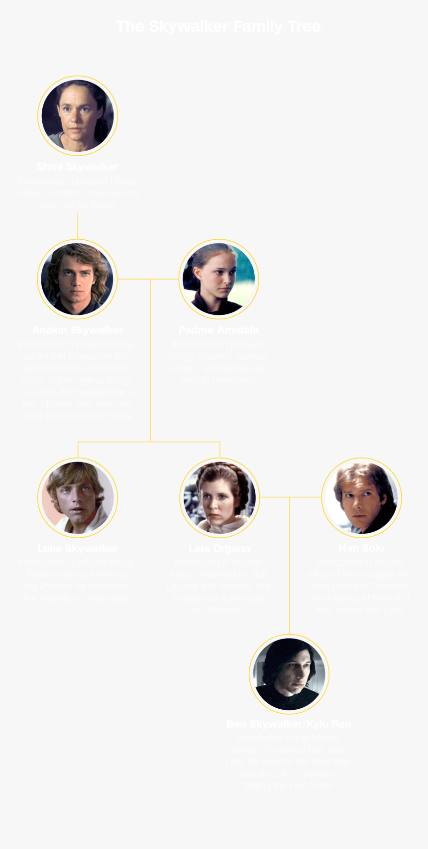 Rise Of The Skywalker Hero Image - Star Wars Family Tree Rise Of Skywalker, HD Png Download, Free Download