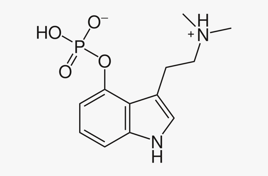 Psilocybin Structure, HD Png Download, Free Download