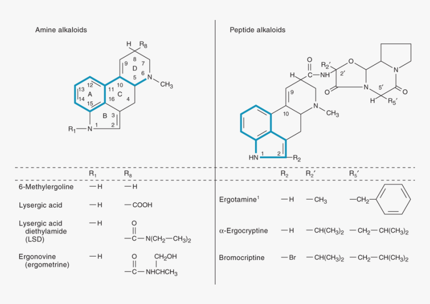 Diagram, HD Png Download, Free Download