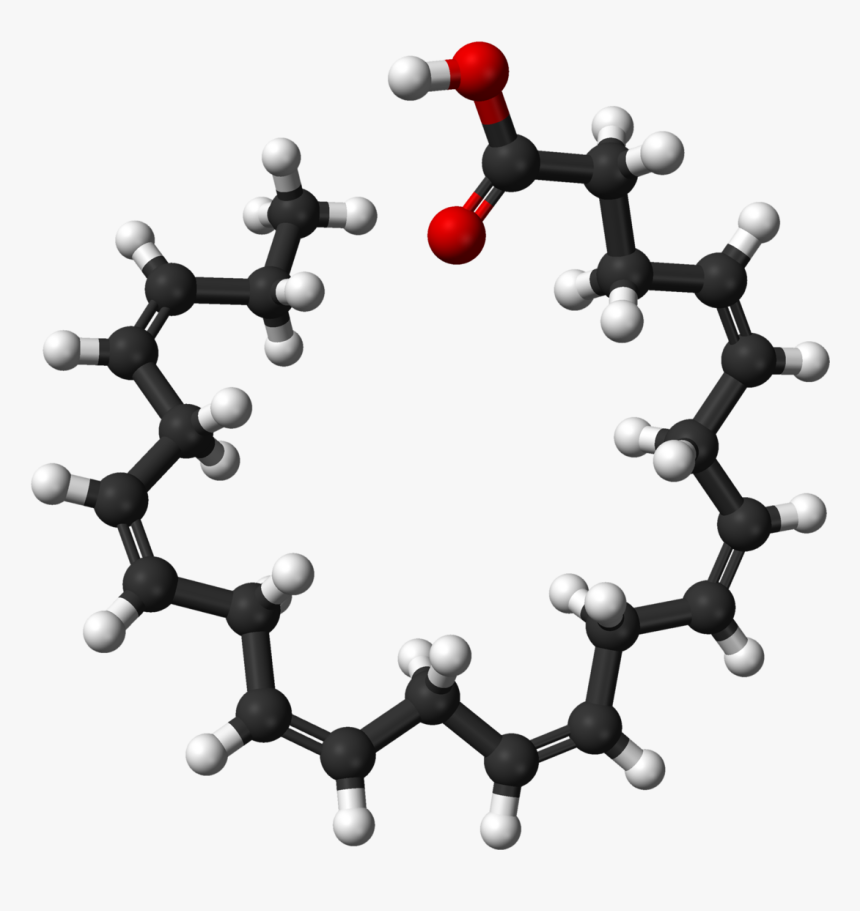 Linoleic Acid 3d Structure, HD Png Download, Free Download