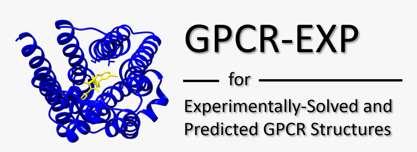 Gpcr-exp - Calligraphy, HD Png Download, Free Download