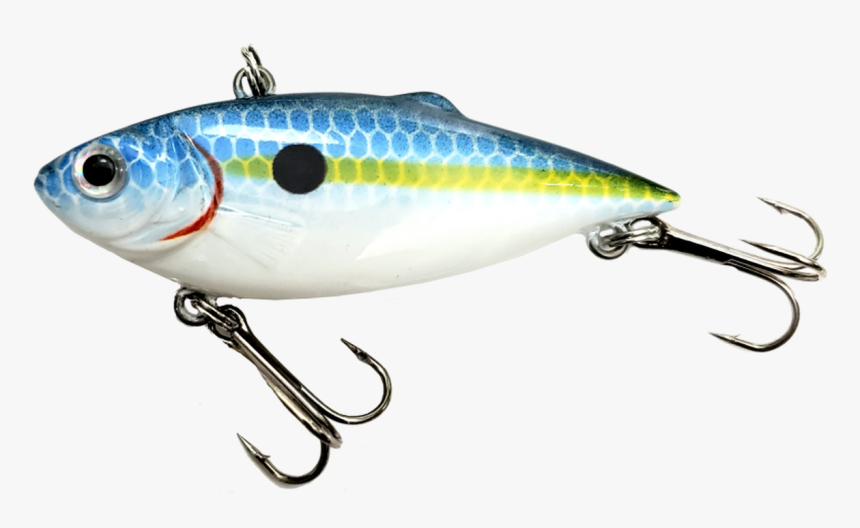 Bait Fish, HD Png Download, Free Download