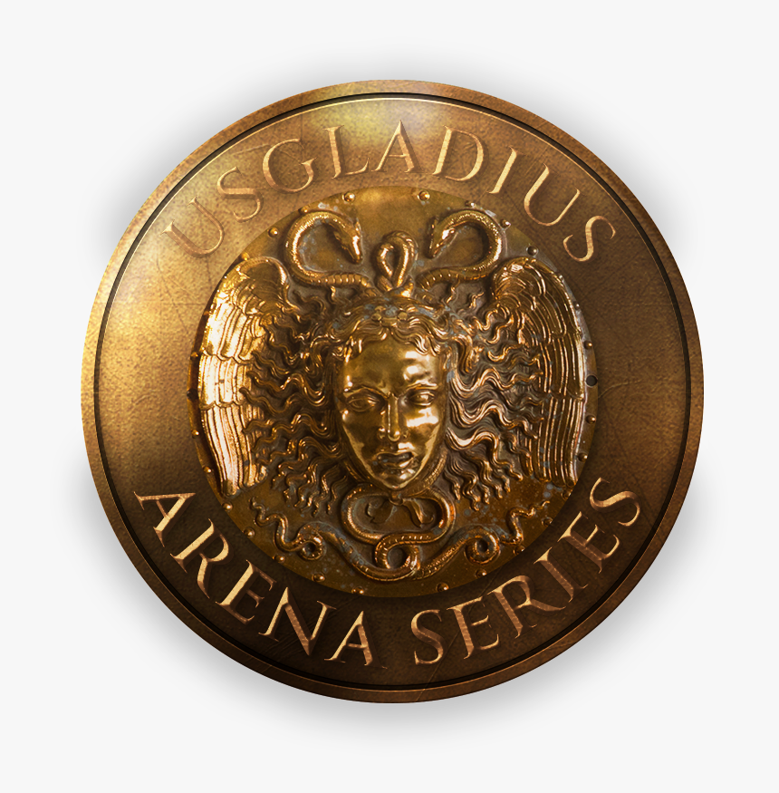 New Shield Design - Bronze, HD Png Download, Free Download