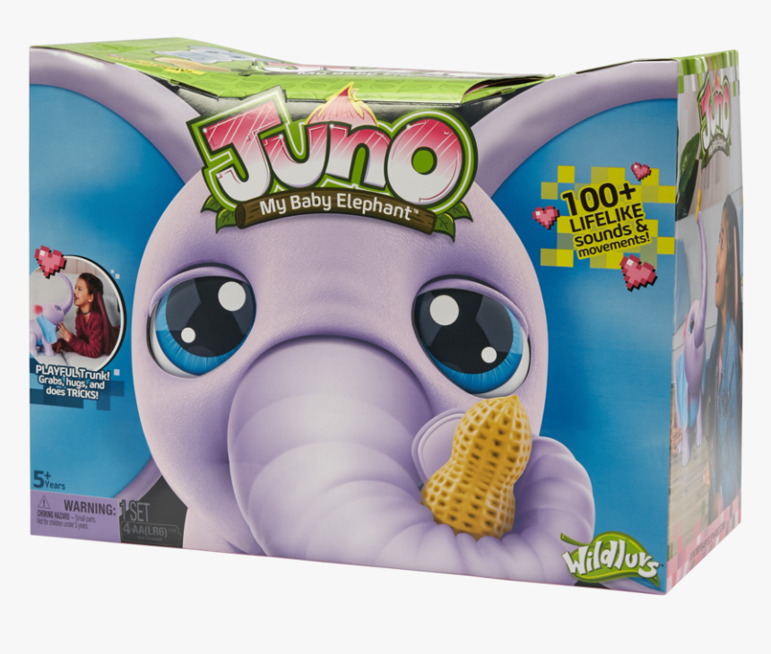 Juno The Baby Elephant, HD Png Download, Free Download