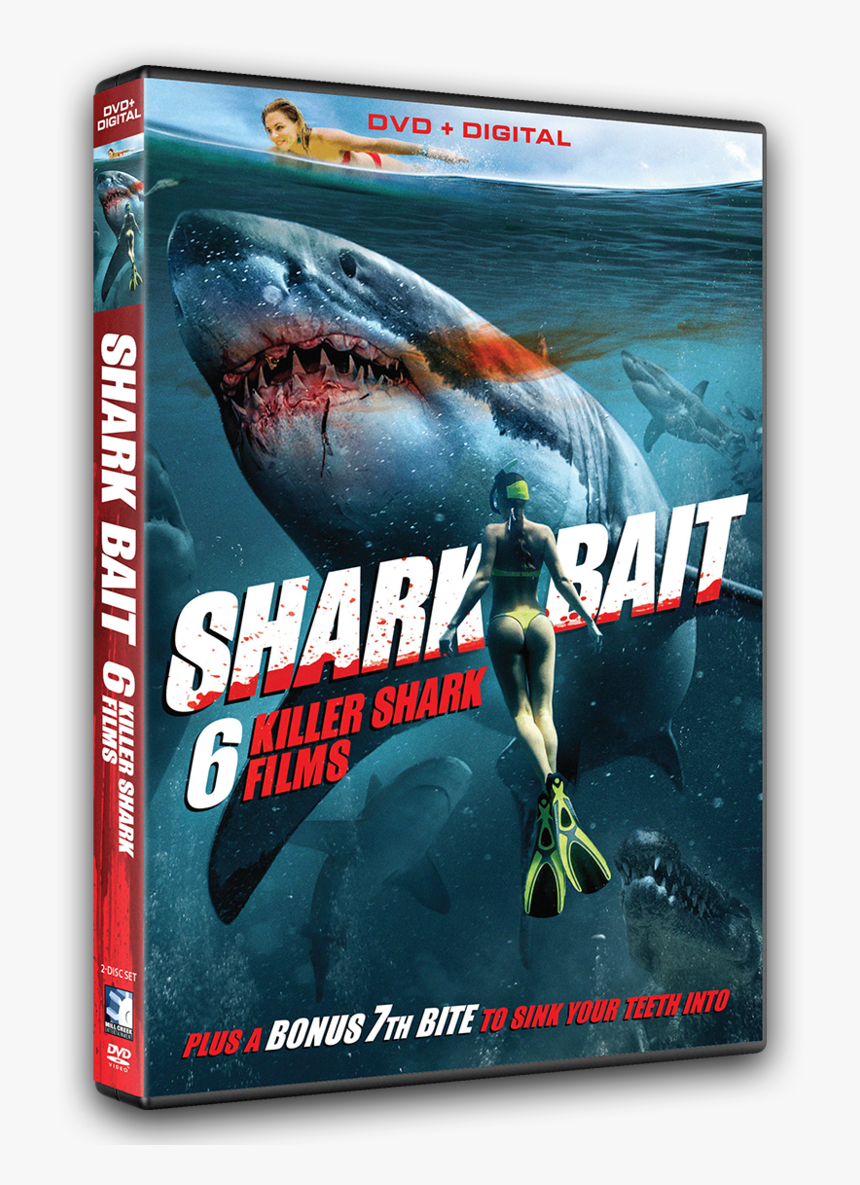 Mississippi River Sharks 2017, HD Png Download, Free Download