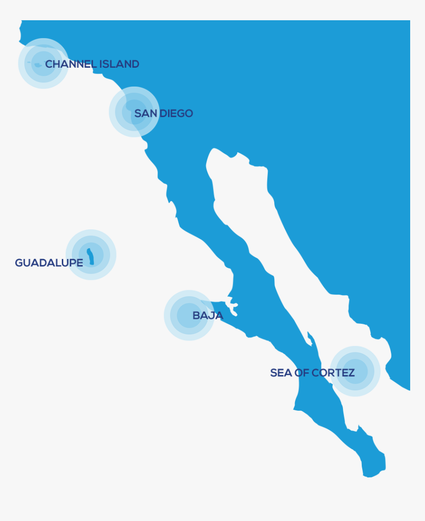 The Colour Not To Wear When Shark Diving - Indice De Desarrollo Humano En Mexico 2017, HD Png Download, Free Download