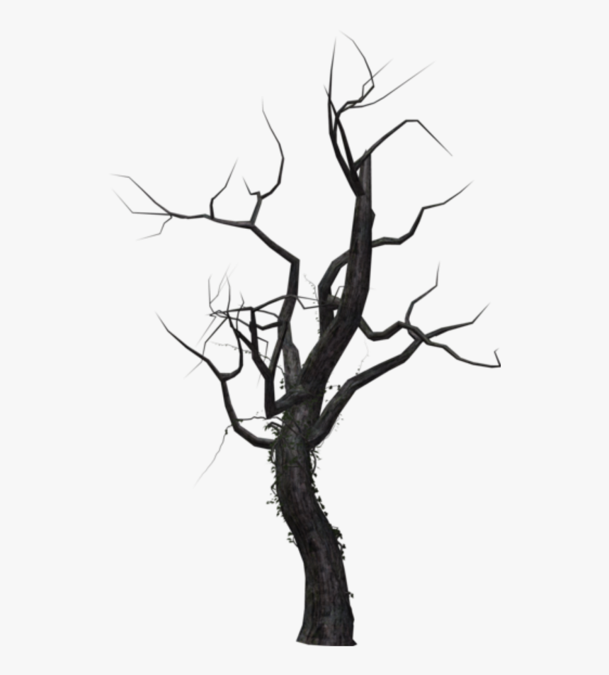 #freetoedit #dead #tree #kellydawn - Dead Tree Png Free, Transparent Png, Free Download