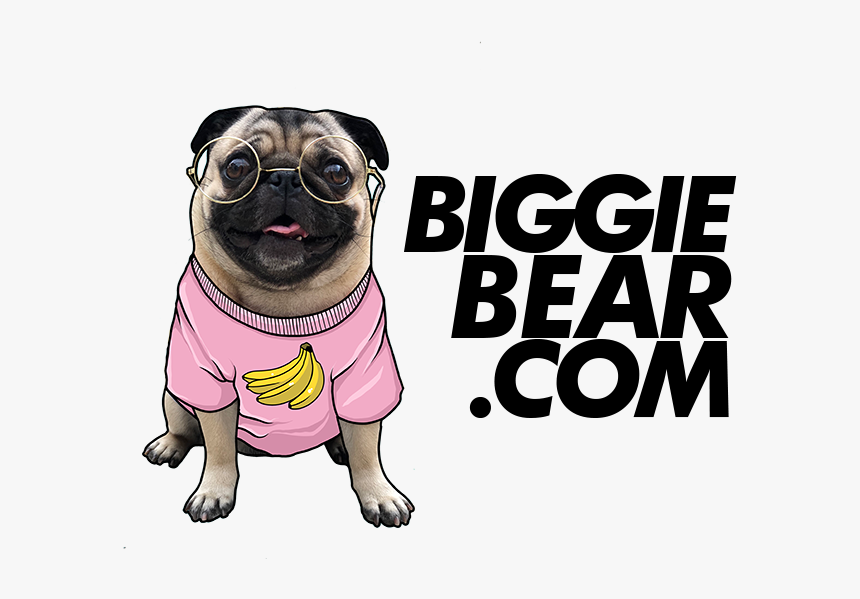 Pug, HD Png Download, Free Download