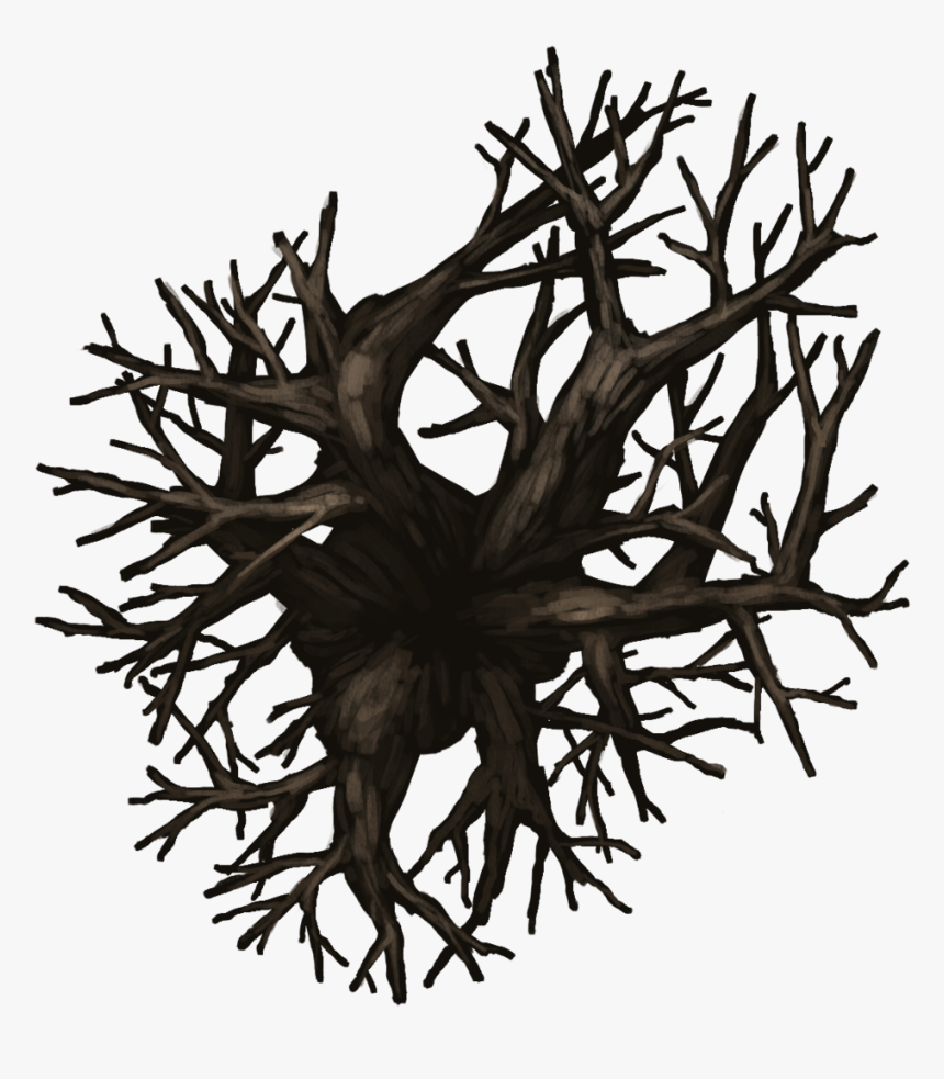 Np04 Treedecid 45x40[nature, Evil Tree, Tree, Leafless, HD Png Download, Free Download