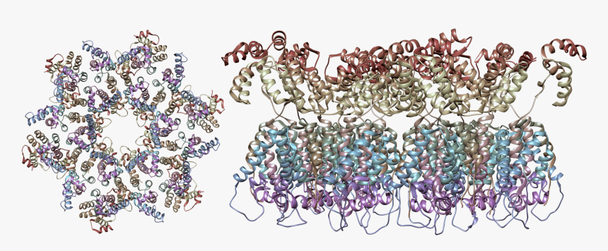 Hiv, HD Png Download, Free Download