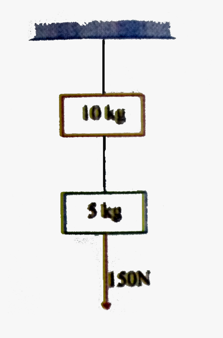 Two Masses Of 10 Kg And 5 Kg Are Suspended From A Rigid, HD Png Download, Free Download