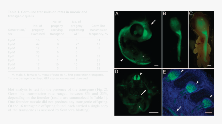 Pnas 2005 Scott 16443 7 3, HD Png Download, Free Download