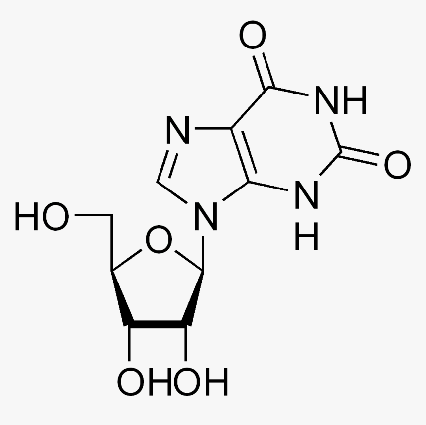 5 Ethynyl Uridine Structure, HD Png Download, Free Download