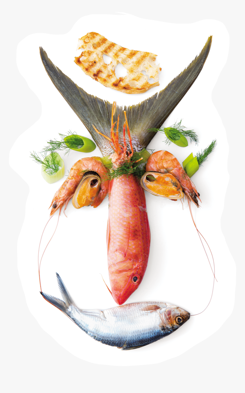 New Food Faces Book By Holland America Master Chef - Seafood Boil, HD Png Download, Free Download