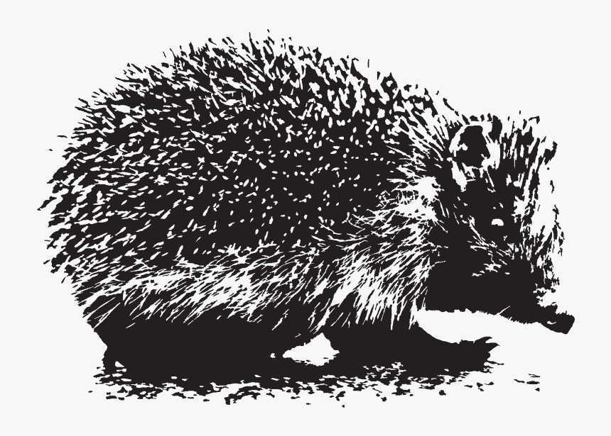 Hedgehog - Igel, HD Png Download, Free Download