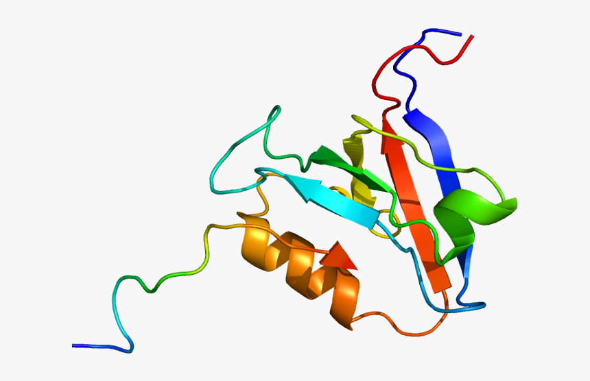 Protein Ptpn13 Pdb 1d5g - Graphic Design, HD Png Download, Free Download