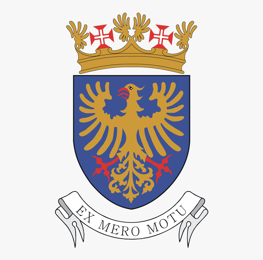 Portuguese Air Force Coa - Portuguese Air Force, HD Png Download, Free Download