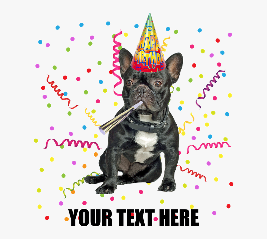 Custom French Bulldog Birthday Burp Cloth - French Bulldog Party Hat, HD Png Download, Free Download
