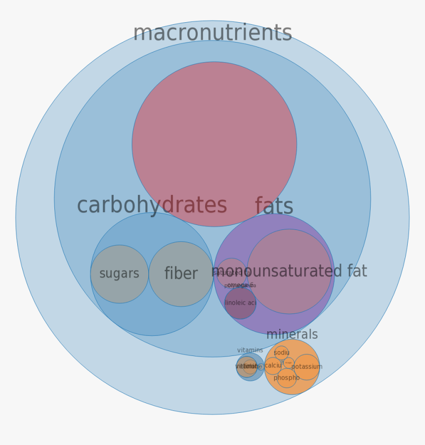 Composition Of Muscle Nutrient, HD Png Download, Free Download