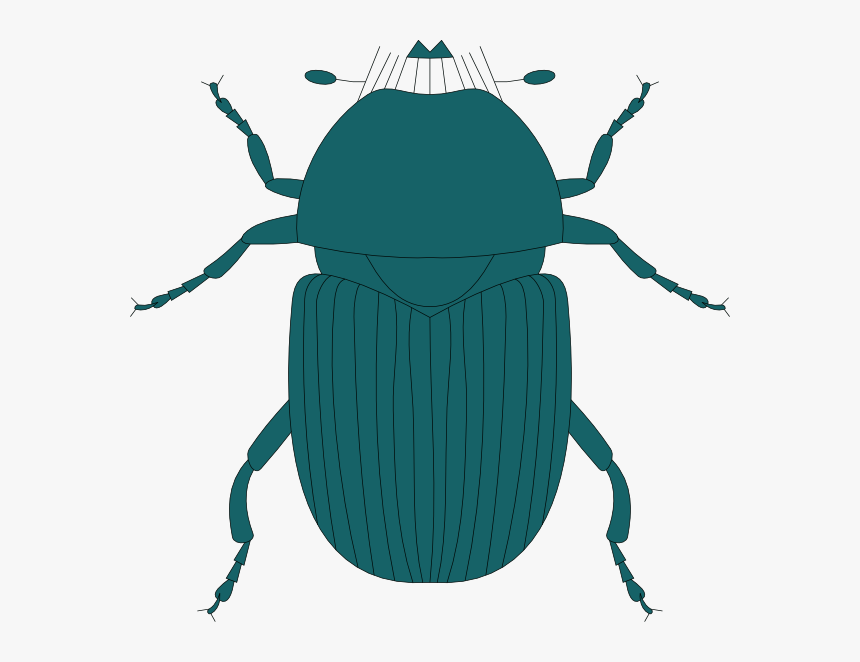 Dark Green Beetle Svg Clip Arts - Clip Art, HD Png Download, Free Download