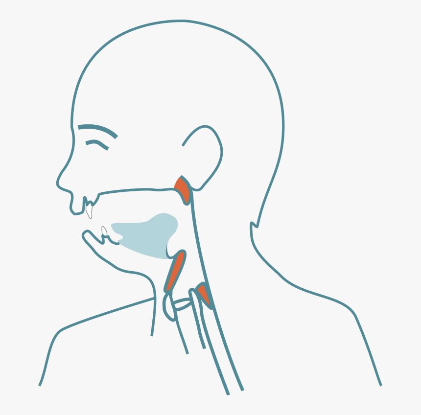 Abnormal Bite- And Jaw Development - Drawing, HD Png Download, Free Download