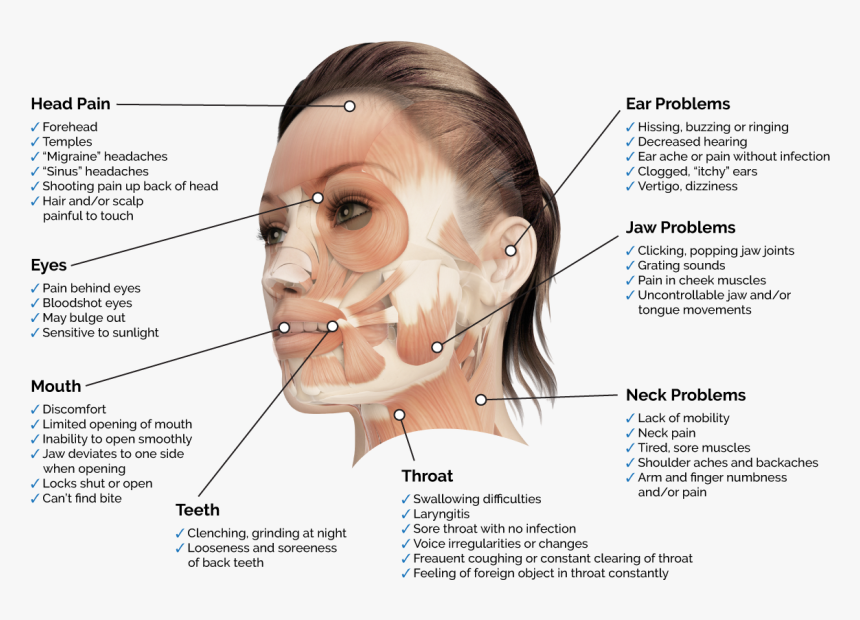 Tmj Jaw Pain, HD Png Download, Free Download