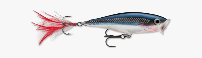 Stock Photo - Rapala Skitter Pop Sd, HD Png Download, Free Download