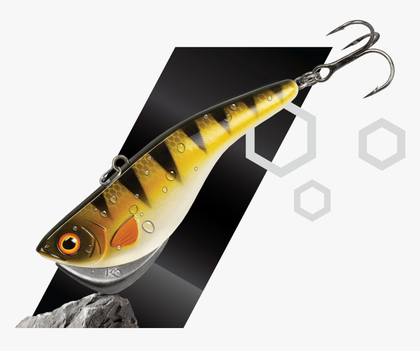 Koi, HD Png Download, Free Download