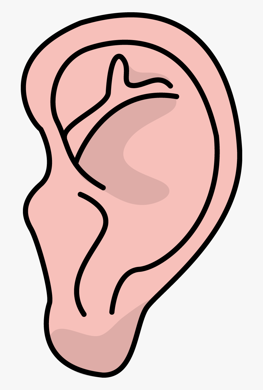 Image For Free Ear Health High Resolution Clip Art - High Resolution Ear Clip Art, HD Png Download, Free Download