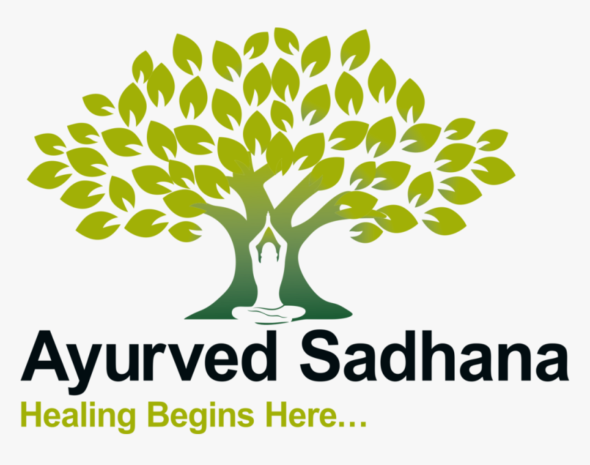 Ayurved Sadhana Png - Ayurveda Tree, Transparent Png - kindpng