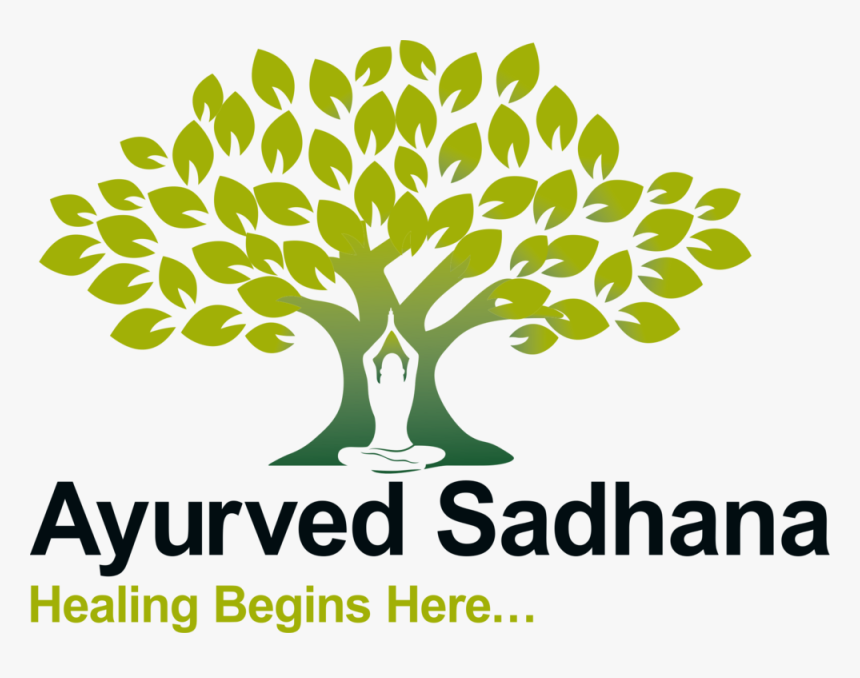 Ayurved Sadhana Png - Ayurveda Tree, Transparent Png, Free Download