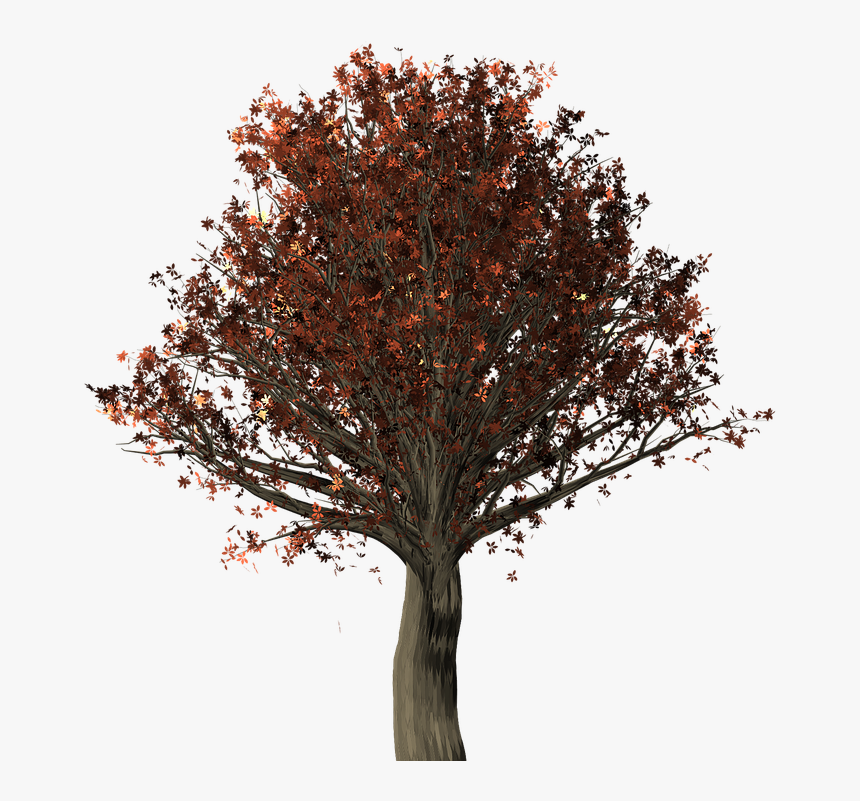 Arbol Roble Png, Transparent Png, Free Download