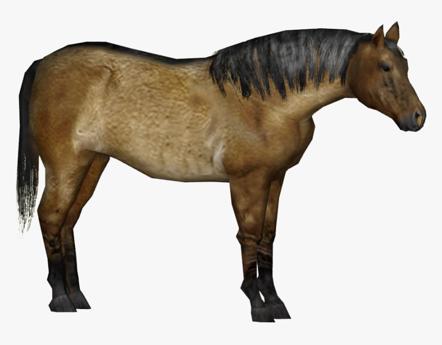 Stallion, HD Png Download, Free Download